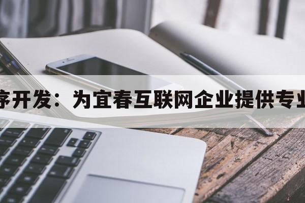 宜春互联网小程序开发：为宜春互联网企业提供专业小程序开发方案