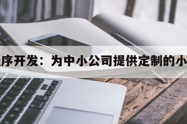 中小公司小程序开发：为中小公司提供定制的小程序开发方案