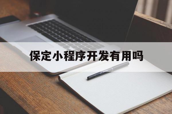 保定小程序开发有用吗