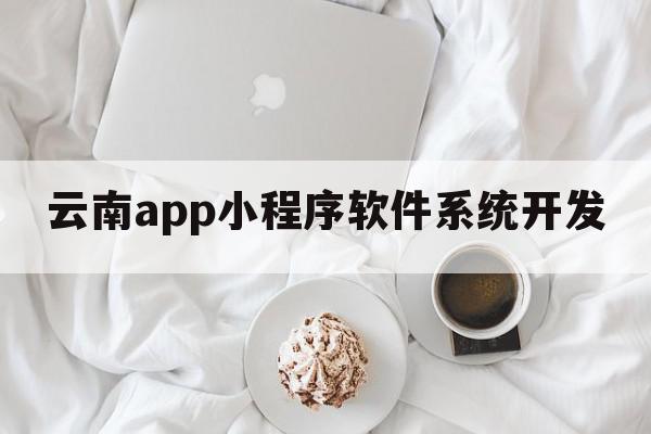 云南app小程序软件系统开发