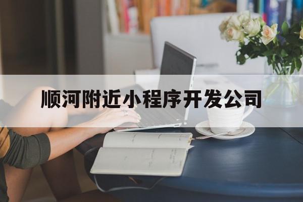 顺河附近小程序开发公司