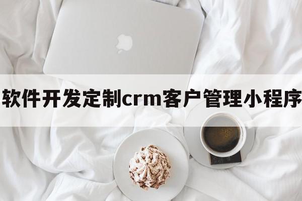 软件开发定制crm客户管理小程序