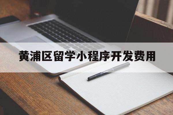 黄浦区留学小程序开发费用