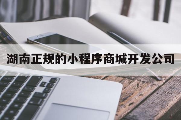 湖南正规的小程序商城开发公司