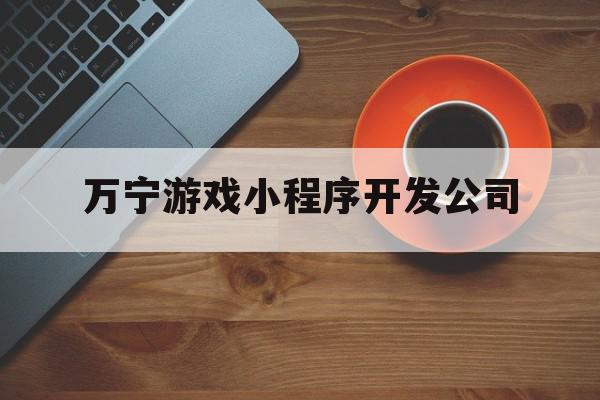 万宁游戏小程序开发公司