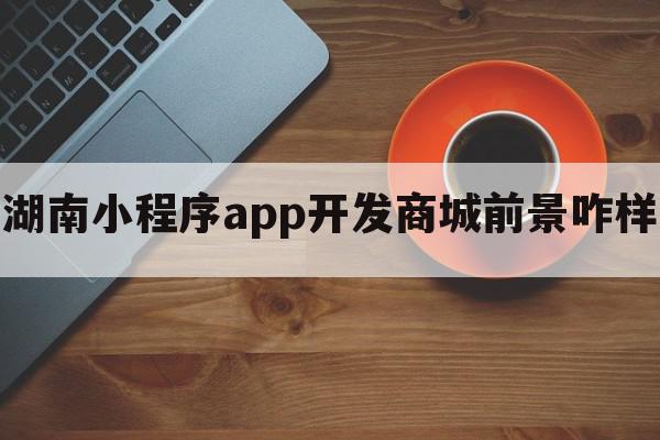 湖南小程序app开发商城前景咋样