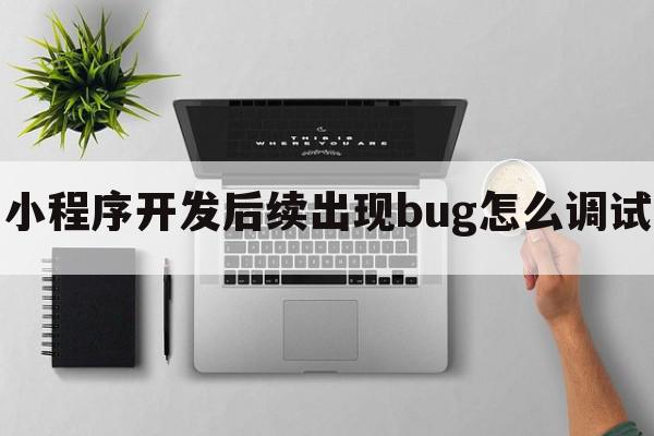 小程序开发后续出现bug怎么调试