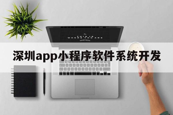 深圳app小程序软件系统开发