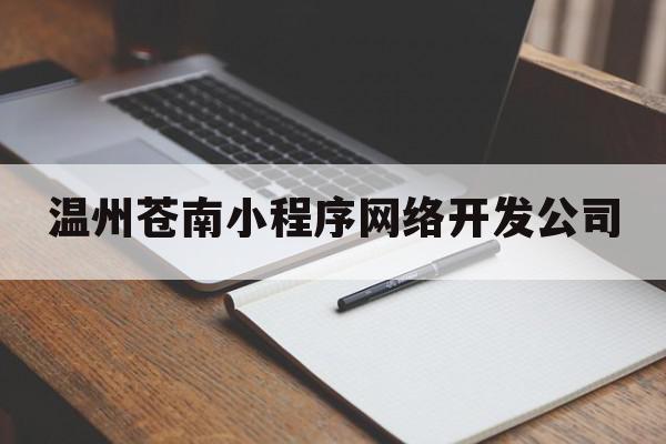 温州苍南小程序网络开发公司