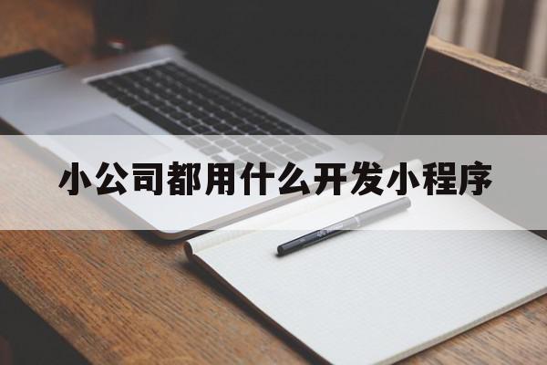 小公司都用什么开发小程序