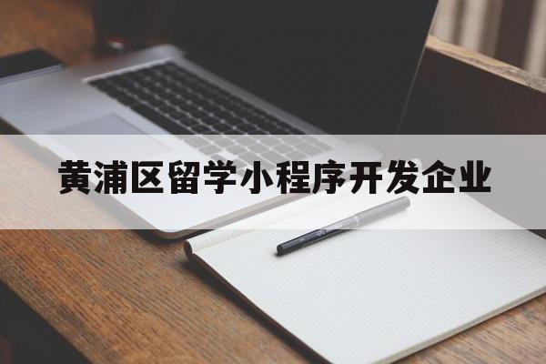 黄浦区留学小程序开发企业