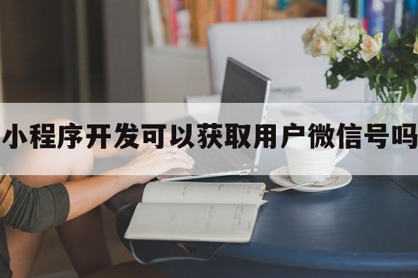 小程序开发可以获取用户微信号吗