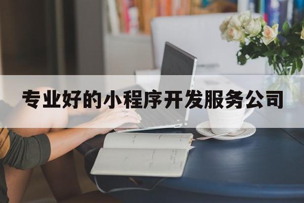 专业好的小程序开发服务公司