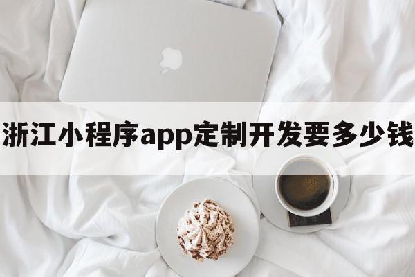 浙江小程序app定制开发要多少钱