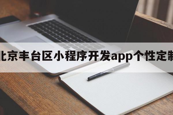 北京丰台区小程序开发app个性定制