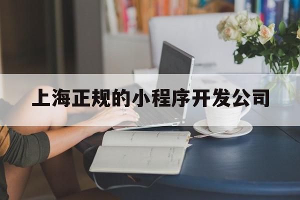 上海正规的小程序开发公司