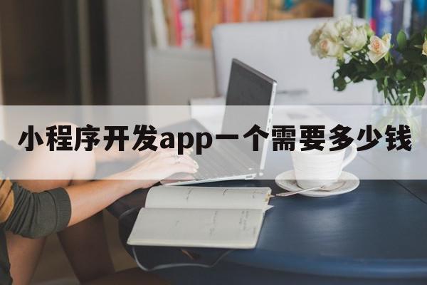 小程序开发app一个需要多少钱