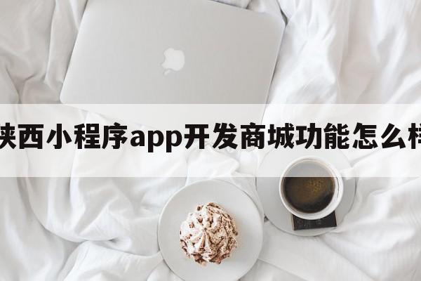 陕西小程序app开发商城功能怎么样