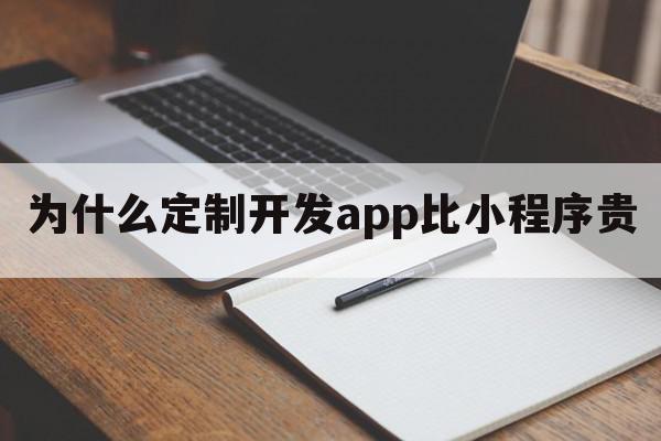 为什么定制开发app比小程序贵