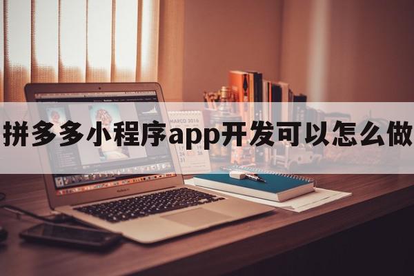 拼多多小程序app开发可以怎么做