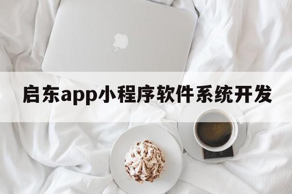 启东app小程序软件系统开发