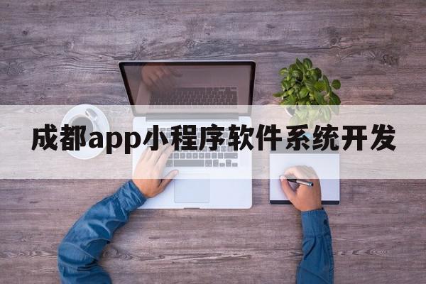 成都app小程序软件系统开发