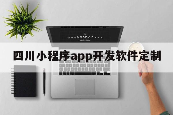 四川小程序app开发软件定制