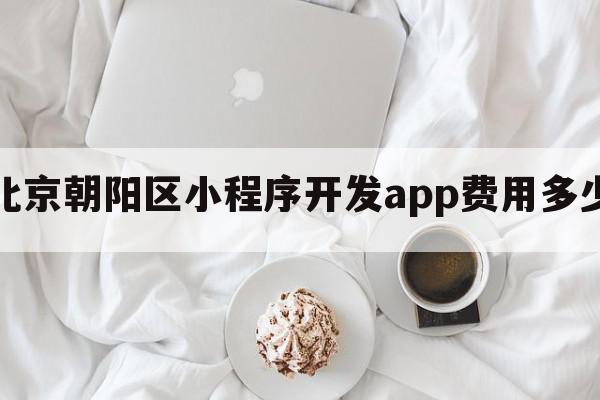 北京朝阳区小程序开发app费用多少