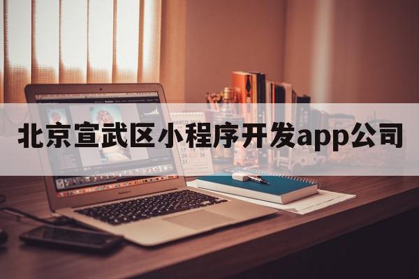 北京宣武区小程序开发app公司