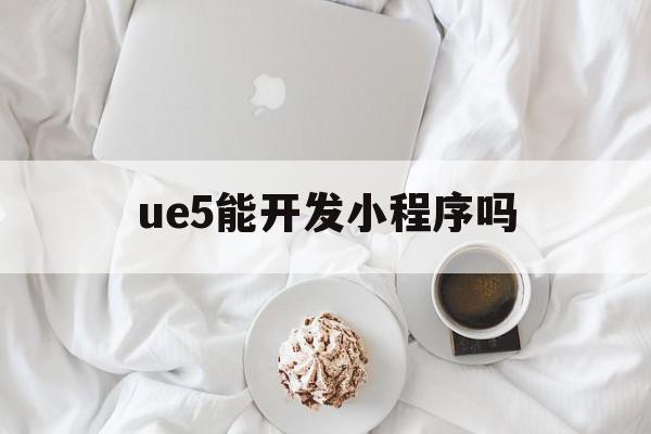 ue5能开发小程序吗