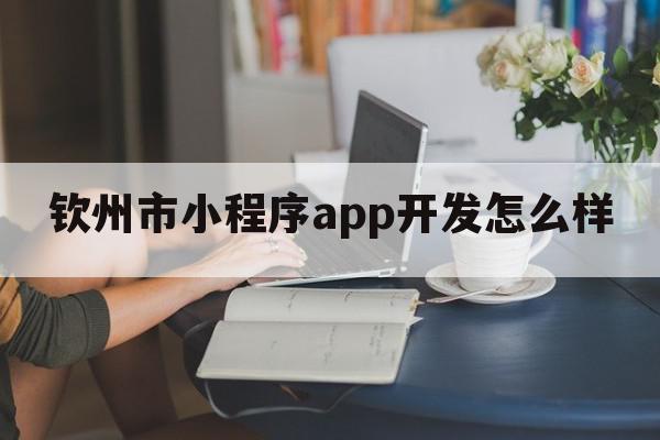 钦州市小程序app开发怎么样