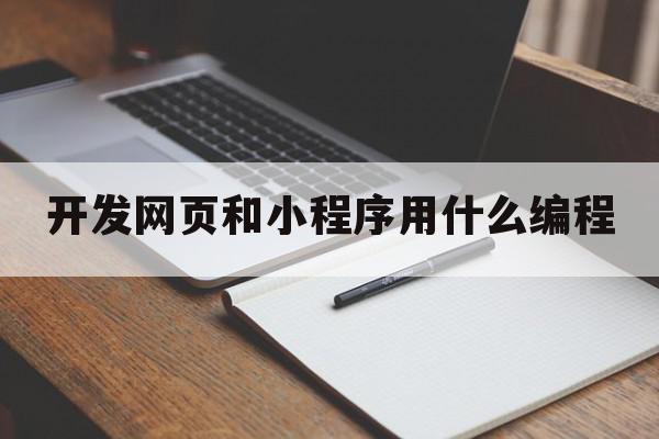 开发网页和小程序用什么编程