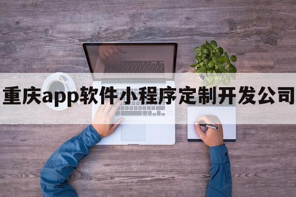 重庆app软件小程序定制开发公司