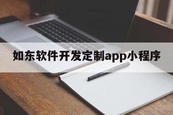 如东软件开发定制app小程序