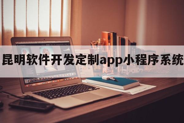 昆明软件开发定制app小程序系统