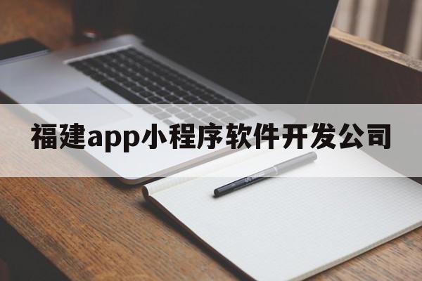 福建app小程序软件开发公司