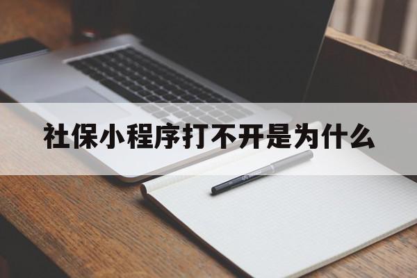 社保小程序打不开是为什么