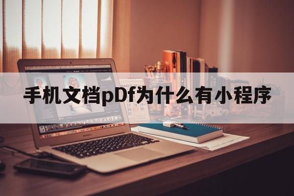 手机文档pDf为什么有小程序