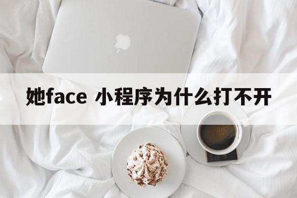 她face 小程序为什么打不开