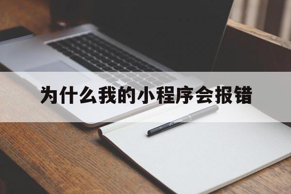 为什么我的小程序会报错