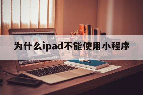 为什么ipad不能使用小程序