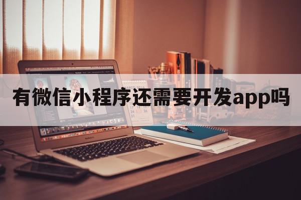 有微信小程序还需要开发app吗