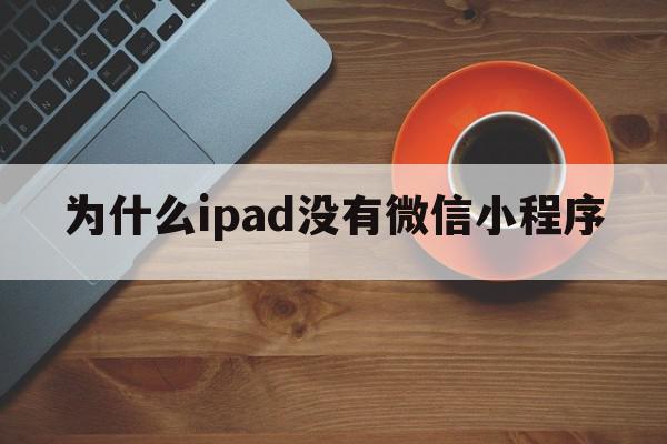 为什么ipad没有微信小程序