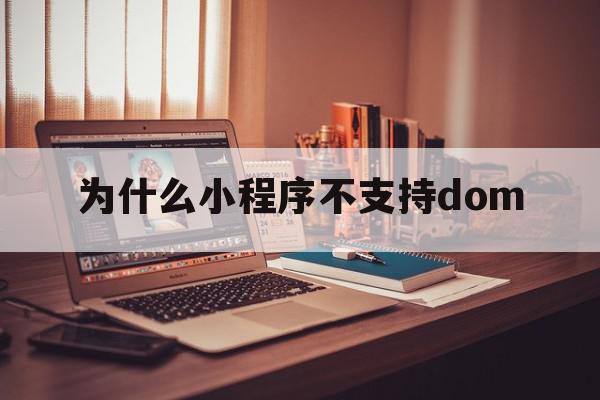 为什么小程序不支持dom