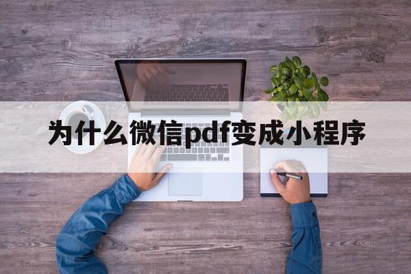 为什么微信pdf变成小程序