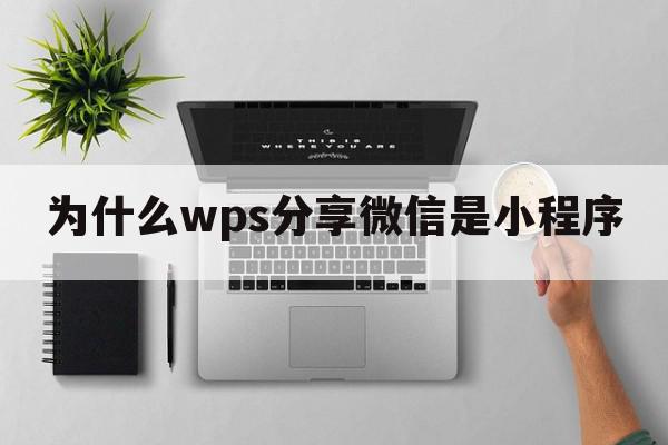 为什么wps分享微信是小程序