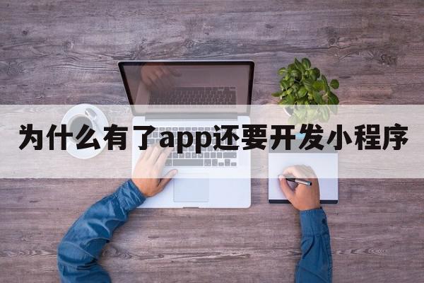 为什么有了app还要开发小程序