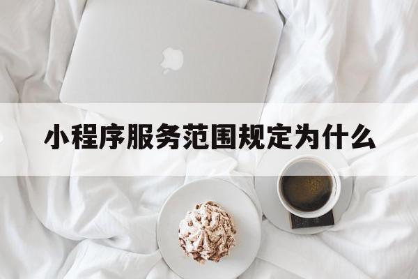 小程序服务范围规定为什么