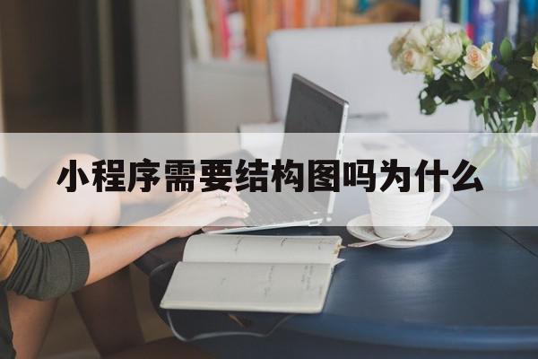 小程序需要结构图吗为什么