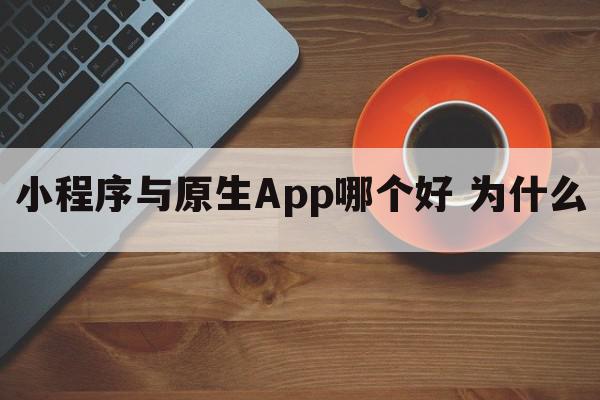 小程序与原生App哪个好 为什么